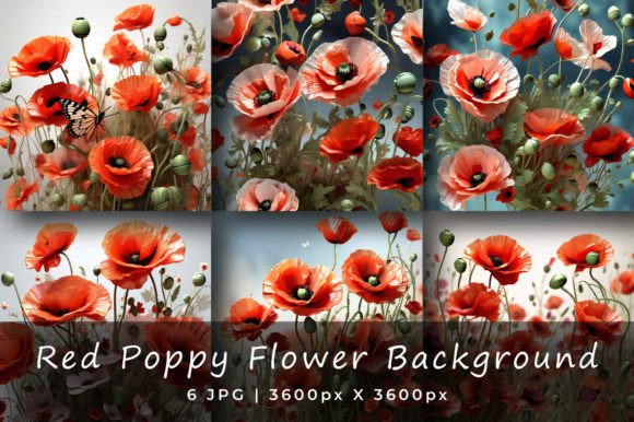 Download Red Poppy Flower Backgrounds - Backgrounds Collection