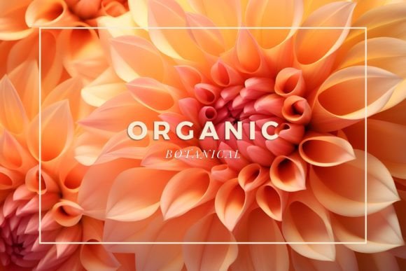 Download 12 Botanical Backgrounds - Backgrounds Collection